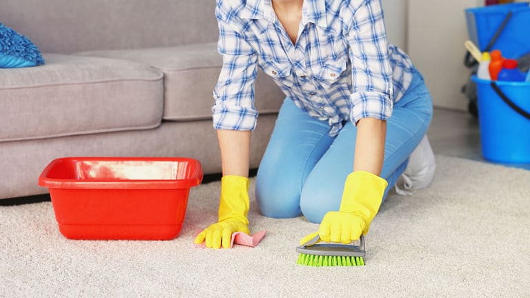 eliminar manchas de alfombra y mantenimiento